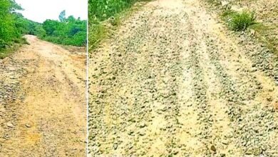Look at the condition of the road going from Rajgir Ropeway to Ghodhakatora Lake!