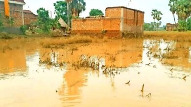 लोकायन नदी के जलस्तर में उतार-चढ़ाव से लोग परेशान, फसलों को भारी नुकसान 5 People are troubled due to fluctuations in the water level of Lokayan river, crops are badly damaged