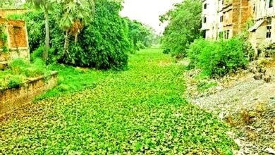 मुहाने नदी का मुंह खोलने की कवायद शुरू, डीपीआर तैयार 4 The exercise to open the mouth of the river Muhane has started, DPR is ready