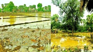 The water level of Lokayan river has subsided, the government should open the mouth of the river