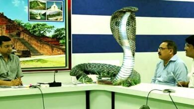 DM held a review meeting of the health department regarding prevention of snakebite