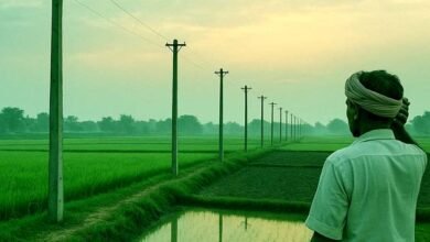 बिजली तार चोरी से उड़े किसानों के होश, चंडी में डेढ़ किमी एबी केबल गायब 2 Farmers shocked due to theft of electricity cable, 1.5 km AB cable missing in Chandi