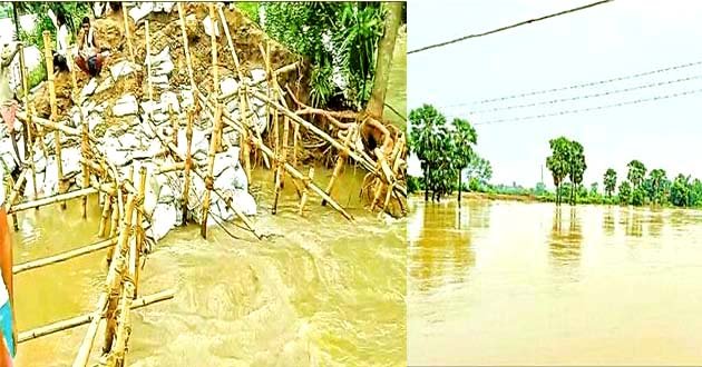 Flood devastation in Hilsa, Lokain river continues to wreak havoc