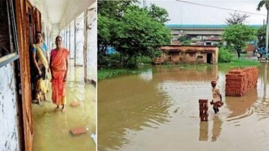 जरा देखिए CM नीतीश कुमार के हरनौत हाई स्कूल की हालत ! 8 Just look at the condition of CM Nitish Kumar's Harnaut High School!