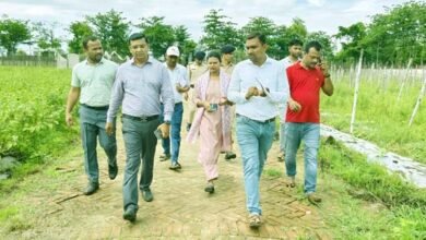 नालंदा DM ने चंडी सेंट्रल ऑफ एक्सीलेंस फॉर वेजिटेबल का लिया जायजा 5 Nalanda DM inspected Chandi Centre of Excellence for Vegetable