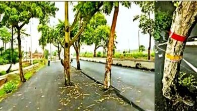 जहानाबाद-गया राजमार्ग पर देखिए एनएच निर्माण एजेंसी का गजब कारनामा 2 See the amazing feat of NH construction agency on Jehanabad-Gaya highway