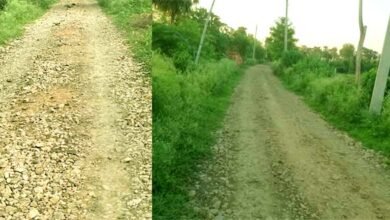 दाउदपुर-इनायतपुर सड़क की बदहाली: जनता परेशान, प्रशासन मौन 1 The condition of Daudpur-Inayatpur road: People are troubled, administration is silent