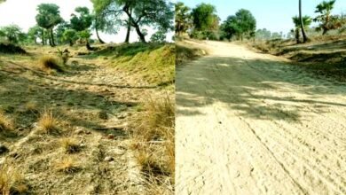 नदी तालाब नहर में फटी बिबाई, किसान चिंतित- कैसे हो धान की रोपाई 4 The dam burst in the river, pond and canal, farmers are worried- how to plant paddy