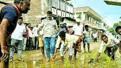 CM नीतीश के हरनौत में अनोखा विरोध, सड़क पर की धानरोपनी 10 Unique protest in CM Nitish's Harnaut, paddy plantation done on the road