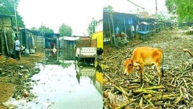 बिहारशरीफ स्मार्ट सिटीः नारकीय बना रामचंद्रपुर बाजार समिति की हालत 6 Bihar Sharif Smart City The condition of Ramchandrapur Market Committee is hellish