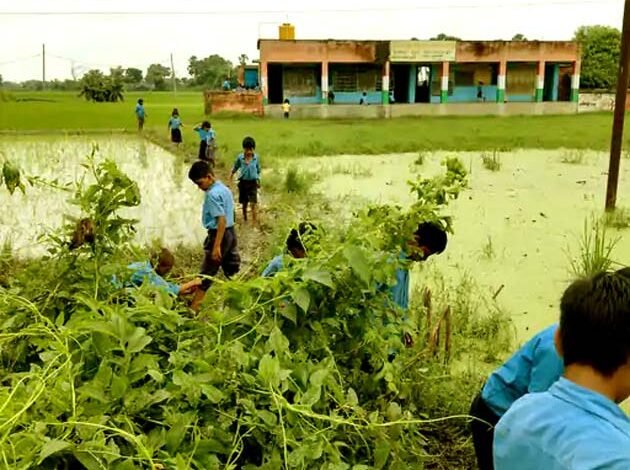 Children fall in mud and water while going to and coming from school