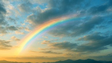 Climate change Now the rainbow will not be seen in the sky of India