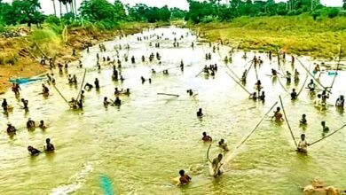 Disaster becomes an opportunity The havoc of Lokayan river is currently spewing gold