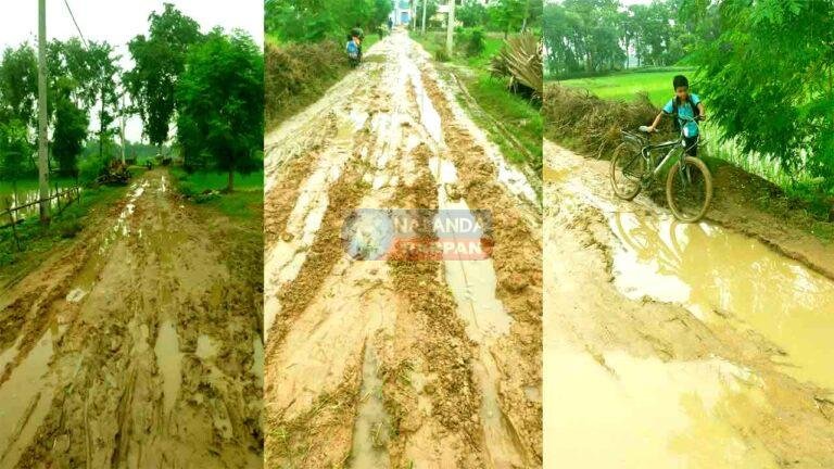 Just look at the condition of this woman Mukhiya's village