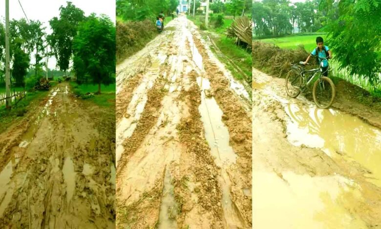 Just look at the condition of this woman Mukhiya's village