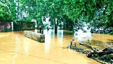 हिलसा में तीसरी बार उफनाई लोकाइन नदी, दर्जनों गांव डूबे, जनजीवन ठप 1 Lokain river overflows for the third time in Hilsa dozens of villages submerged normal life disrupted 1