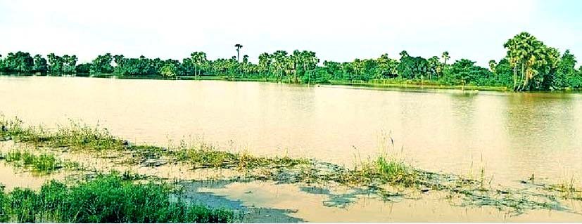 Lokain river overflows for the third time in Hilsa dozens of villages submerged normal life disrupted 2