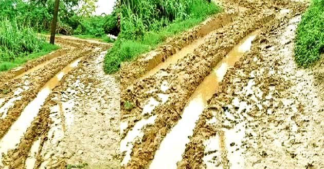 Look at the rural development in CM Nitish's home block Harnaut area!