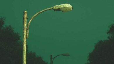 The poor condition of street lights is posing a threat to the image of the tourist city of Rajgir