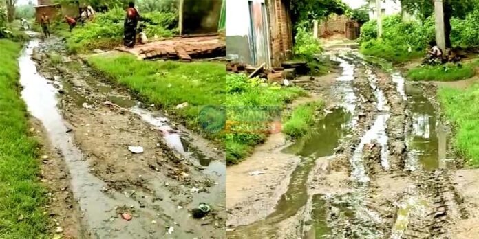 The road of this village of Islampur became a problem for the villagers