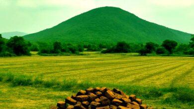 The wait for Rajgir sub divisional civil court hangs in balance know the big reason