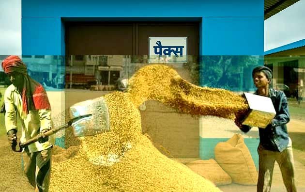 पैक्स अध्यक्ष और प्रबंधक ने हड़पा 1.63 करोड़ का धान, प्राथमिकी दर्ज 1 Farmers are troubled due to slow purchase of paddy during PACS elections