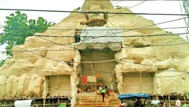 Mother Kali will be seated in the cave of Mount Kailash here in Bihar Sharif