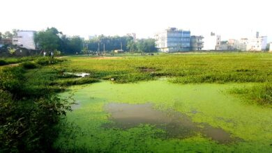 इस्लामपुर सुभाष हाई स्कूल का खेल मैदान बदहाली पर उठ रहे सवाल 10 Questions are being raised about the poor condition of the playground of Islampur Subhash High School.