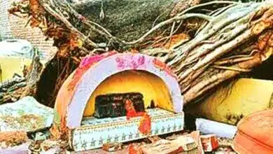 बिहारशरीफ में चमत्कार: 400 साल पुराना पेड़ गिरा, मंदिर ध्वस्त, प्रतिमा अक्षत 5 Miracle in Bihar Sharif 400 year old tree falls temple destroyed statue intact