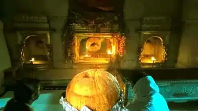 पावापुरी जल मंदिर: सुमेर ने 5.5 लाख में खरीदा 51 किलो महापरिनिर्वाण लाडू 5 Pavapuri Water Temple Sumer bought 51 kg of Mahaparinirvana Laddu for Rs 5.5 lakh