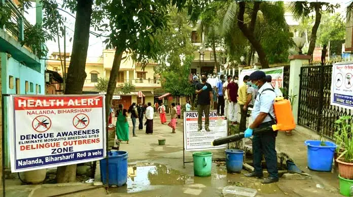 नालंदा में डेंगू के 199 मरीजों ने बढ़ाई चिंता, बिहारशरीफ बना रेड जोन 38 199 dengue patients in Nalanda raise concerns Bihar Sharif becomes red zone 1