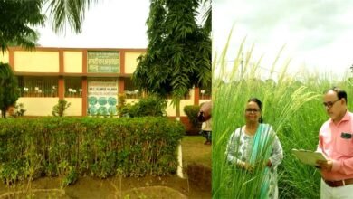 Be it flood or drought farmers can become prosperous by cultivating Khas