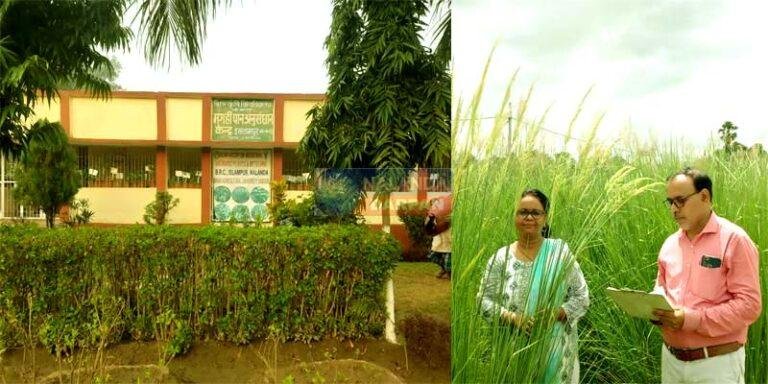 बाढ़ हो या सूखा, खस की खेती कर खुशहाल बन सकते हैं किसान