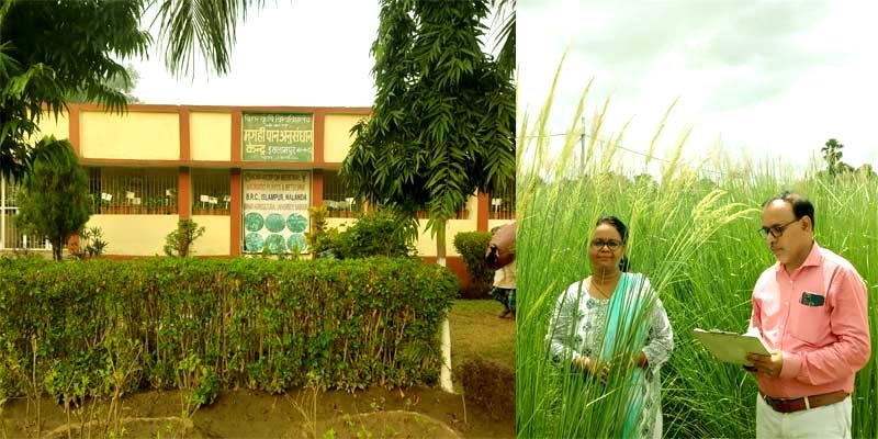 Be it flood or drought farmers can become prosperous by cultivating Khas