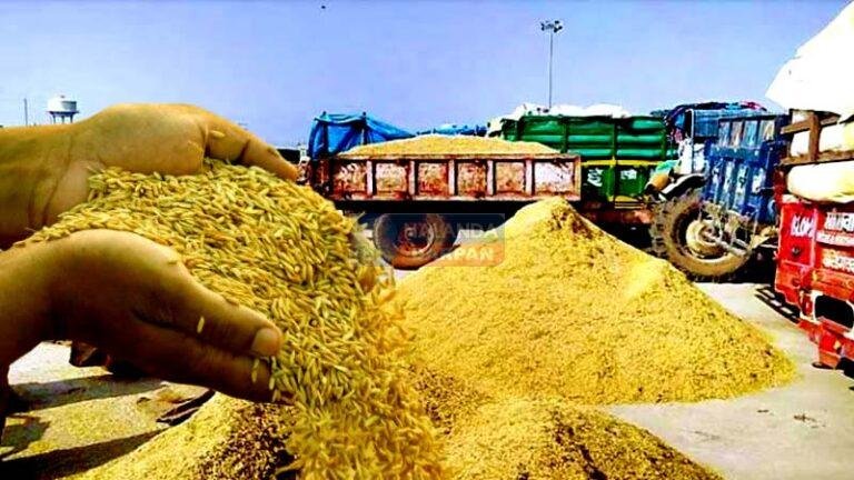 औने-पौने दाम पर धान बेचने को विवश किसान, व्यापारी काट रहे चांदी