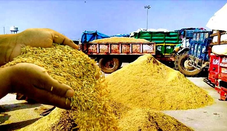 Farmers forced to sell paddy at throwaway prices traders making a killing
