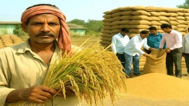 Paddy procurement begins in all blocks from November 15 farmers elated by hike in MSP