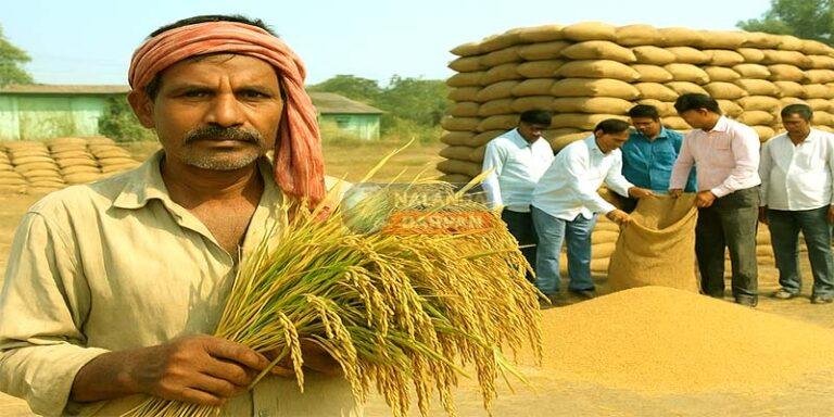 नालंदा के सभी प्रखंडों में 15 नवंबर से धान खरीद शुरु, MSP बढ़ोतरी से किसान गदगद