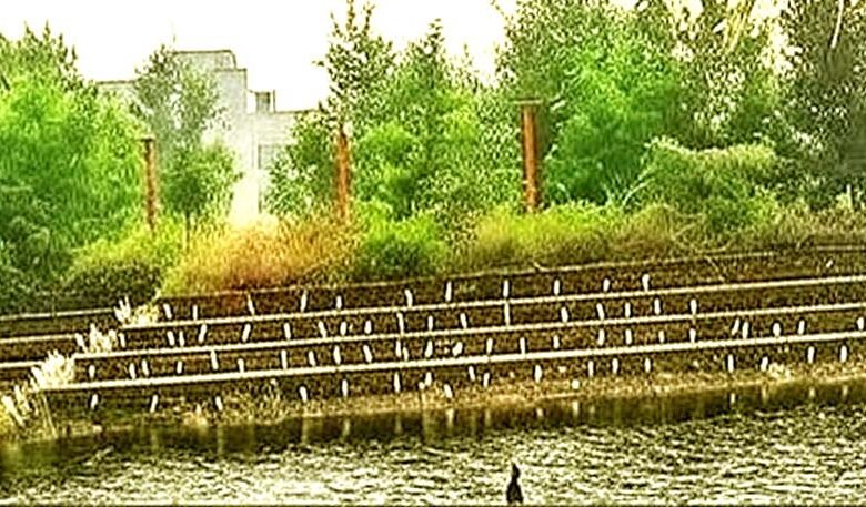 People were stunned to see the Heron Conference on the banks of Kamal Sagar Nalanda University 1