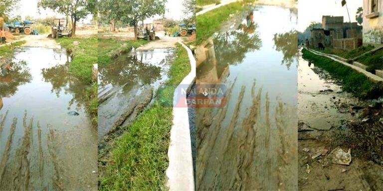 इस्लामपुर-राजगीर मार्ग से कटवा रसलपुर जाने वाली पक्की सड़क की हालत देखिए