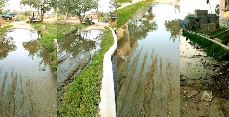 See the condition of the paved road from Islampur Rajgir road to Katwa Rasulpur