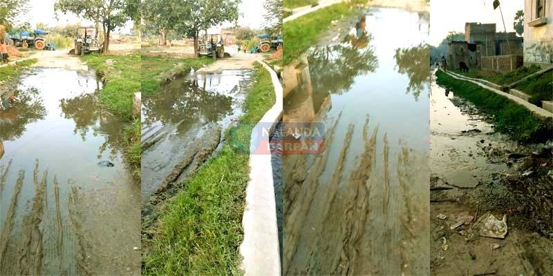 इस्लामपुर-राजगीर मार्ग से कटवा रसलपुर जाने वाली पक्की सड़क की हालत देखिए इस्लामपुर-राजगीर मार्ग से कटवा रसलपुर जाने वाली पक्की सड़क की हालत देखिए
