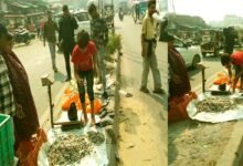 The divider on the Silav bypass four lane has become a fish market children are weighing fish the administration is silent