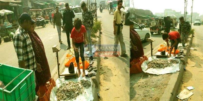 सिलाव बाइपास फोरलेन पर डिवाइडर बना मछली मंडी, बच्चे मछलियाँ तौल रहे, प्रशासन मौन!