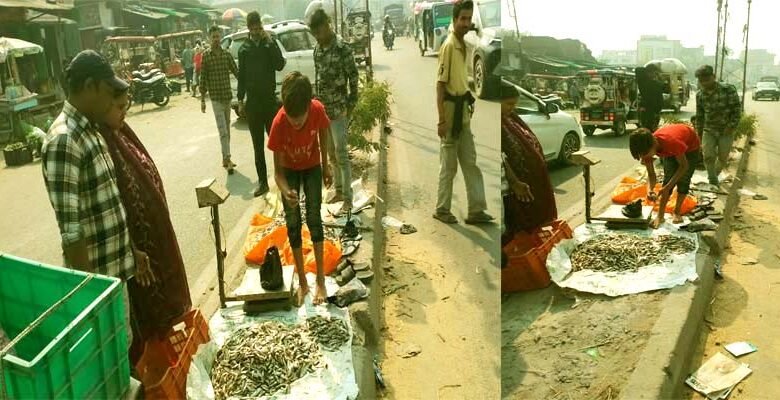 The divider on the Silav bypass four lane has become a fish market children are weighing fish the administration is silent