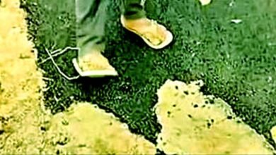 Video of corruption in Harnaut goes viral road built by pouring tar on soil 2