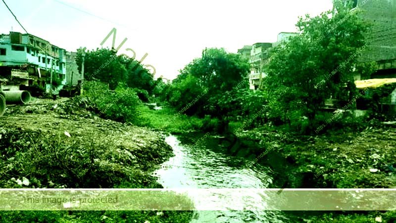 Encroachment on the Muhane Paimar Sakri and Panchane rivers has created problems for farmers 3