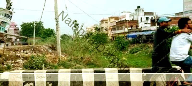 Encroachment on the Muhane Paimar Sakri and Panchane rivers has created problems for farmers 4