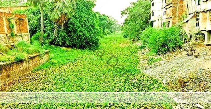 Encroachment on the Muhane Paimar Sakri and Panchane rivers has created problems for farmers 5