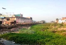 मुहाने, पैमार, सकरी और पंचाने नदियों पर अतिक्रमण किसानों के लिए बनी मुसीबत 35 Encroachment on the Muhane Paimar Sakri and Panchane rivers has created problems for farmers 6